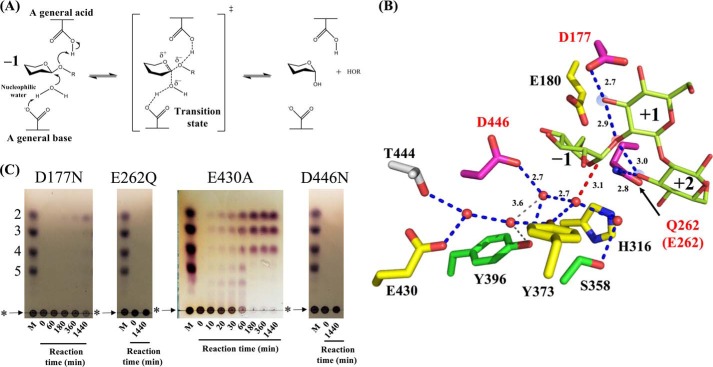 Figure 11.