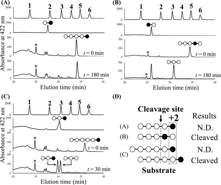 Figure 12.