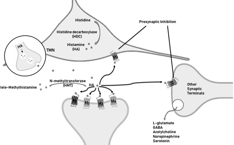 Fig. (2)