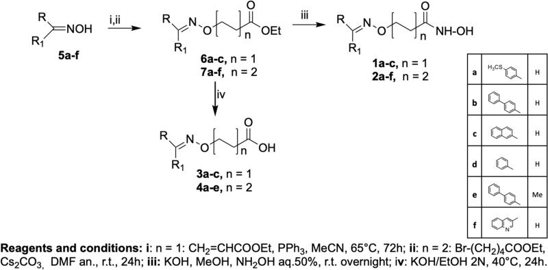 Scheme 1.