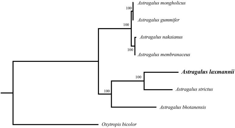 Figure 1.