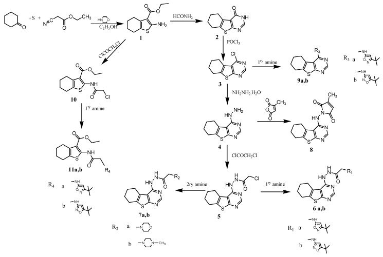 Scheme 1