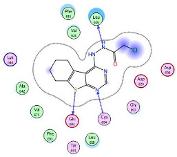 graphic file with name molecules-27-00123-i001.jpg