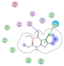 graphic file with name molecules-27-00123-i004.jpg