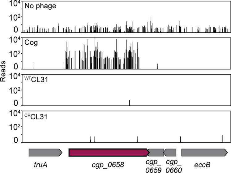 Figure 3—figure supplement 1.