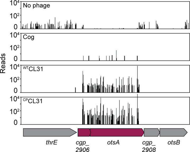 Figure 5—figure supplement 1.