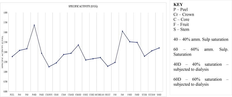 Graph 3