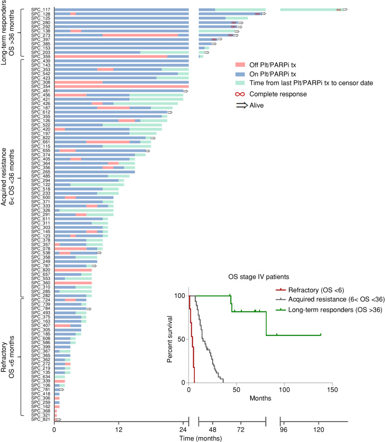 Figure 1. Spectrum of response for patients with stage IV glBRCA-mutated PDAC. Swimmer plot of glBRCA patients with stage IV PDAC: time from diagnosis until last follow-up or death, with time from diagnosis until last follow-up or death. Blue: time on platinum/PARPi treatment. Red: time off platinum/PARPi treatment. Green: time from last platinum/PARPi treatment to censor date. Red infinity symbol: patients with complete response. Black arrow: patients alive at censor date. Inset, Kaplan–Meier curves of patients by clinical subgroup (red, refractory; gray, acquired resistance; green, long-term responders). Plt/PARPi tx, platinum/PARPi treatment.