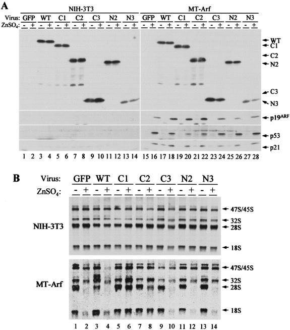 FIG. 5.