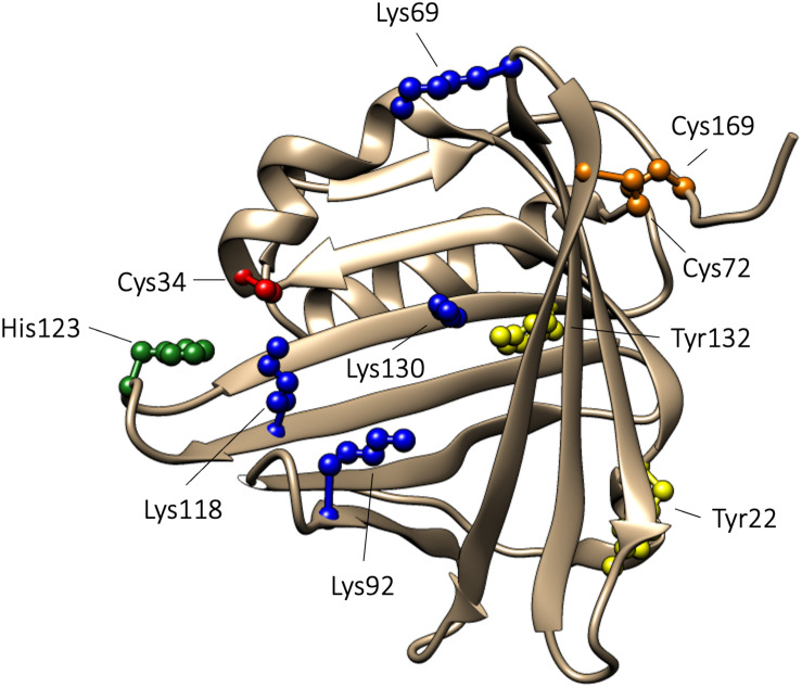 FIGURE 1