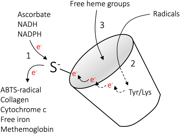 FIGURE 4