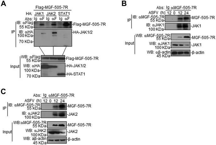 Figure 4