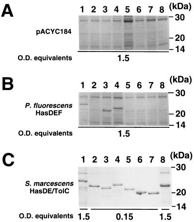 FIG. 6