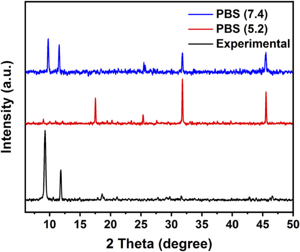 FIGURE 6