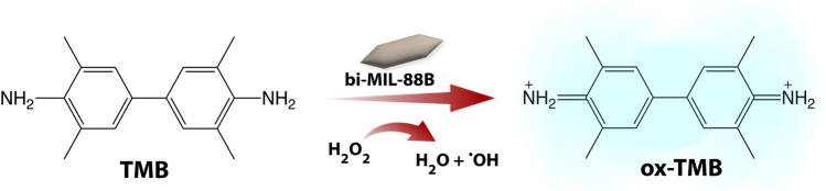 SCHEME 2