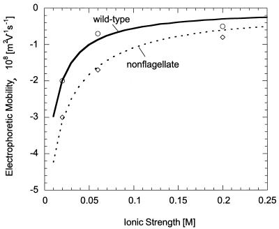 FIG. 5.