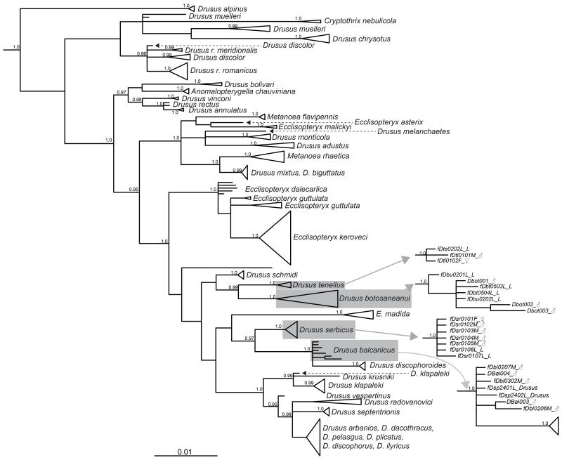 Fig. A2