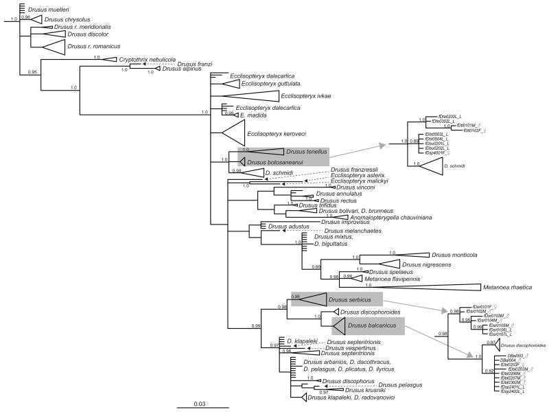 Fig. A2