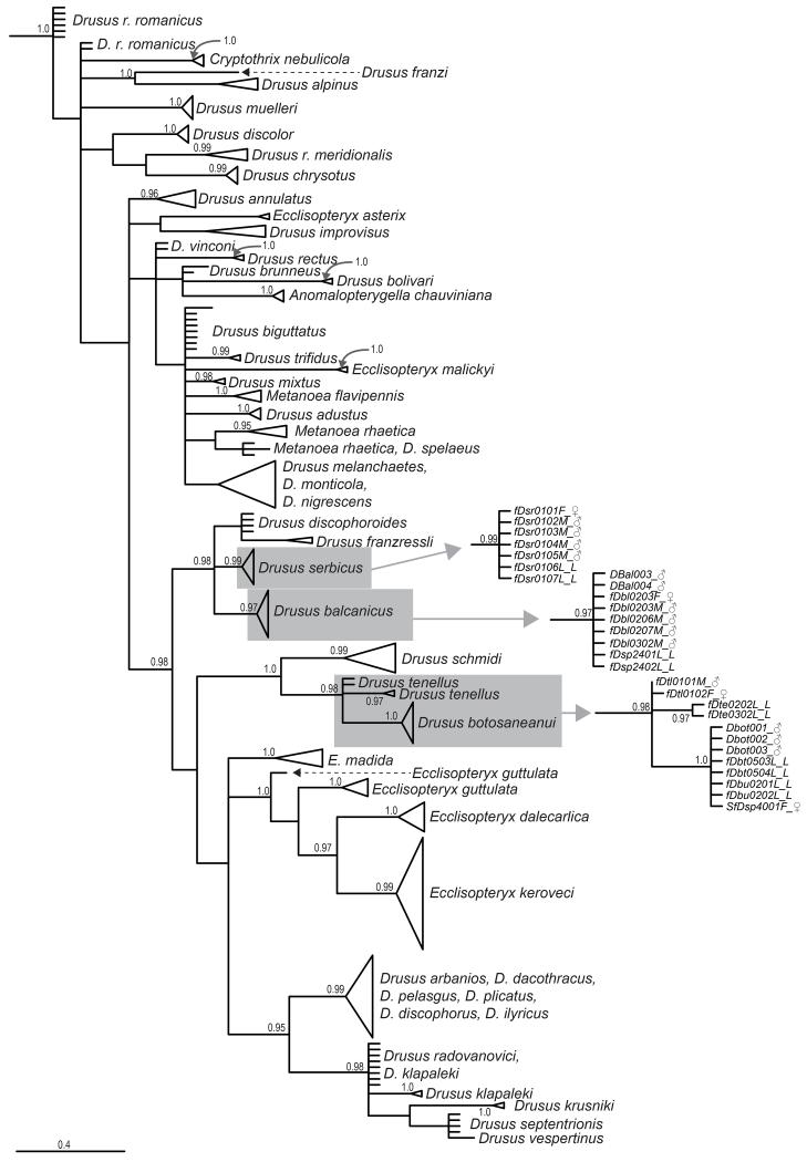 Fig. A2