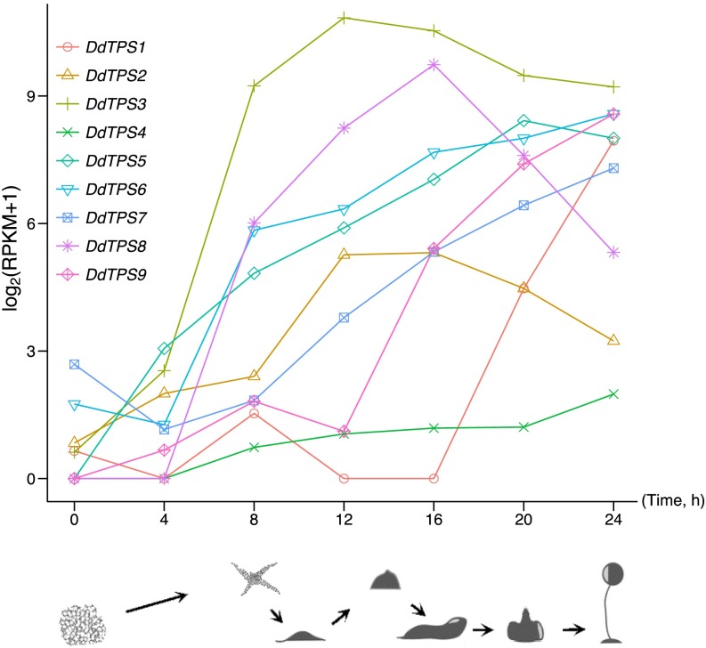 Fig. 3.