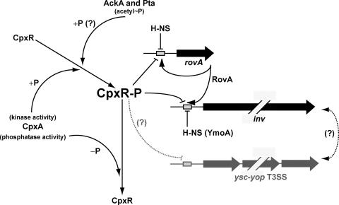 FIG. 8.