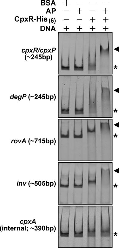 FIG. 7.