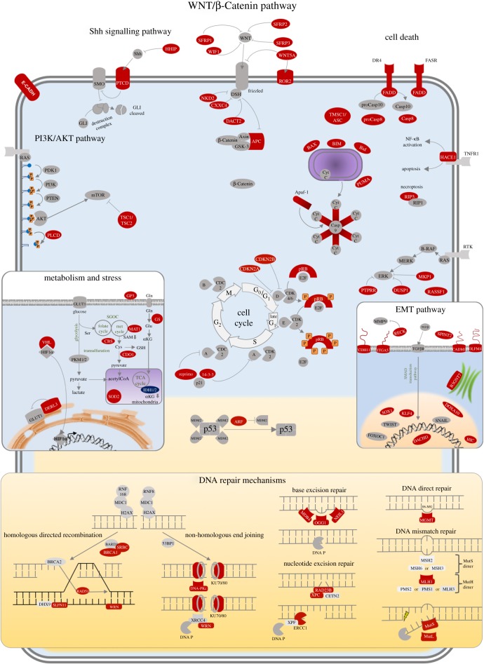 Figure 2.