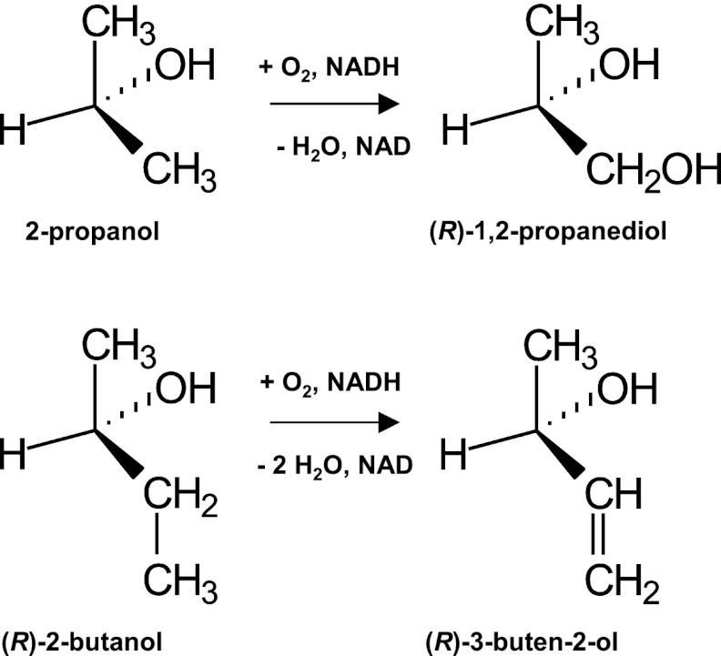 Fig 5