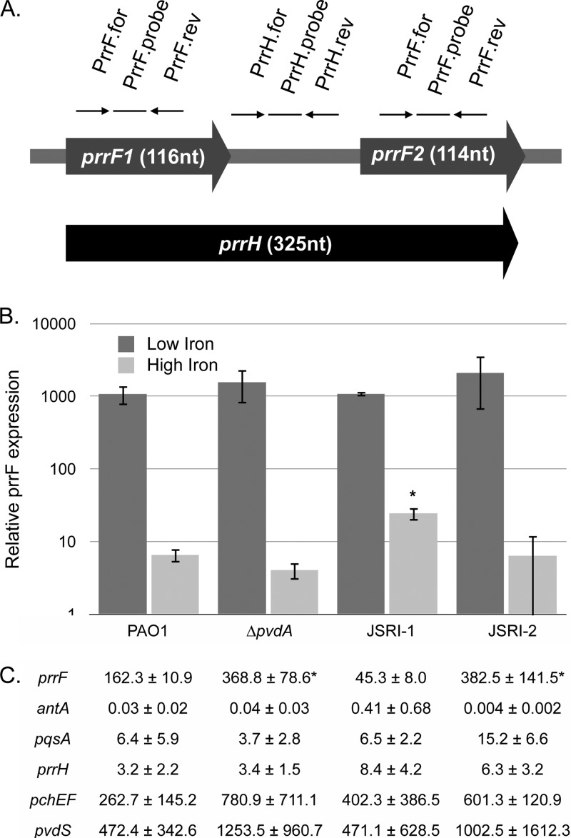 FIG 4