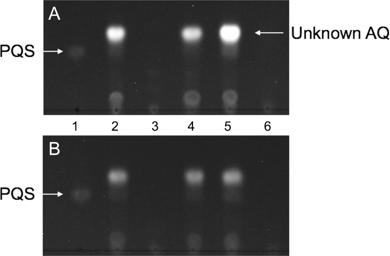 FIG 3