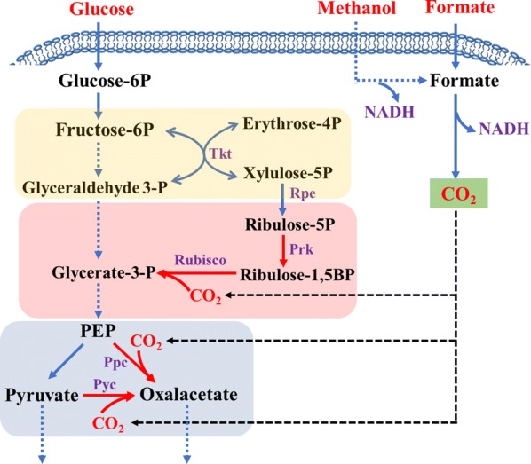 Fig. 4