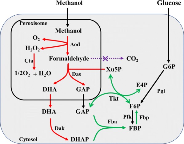 Fig. 2