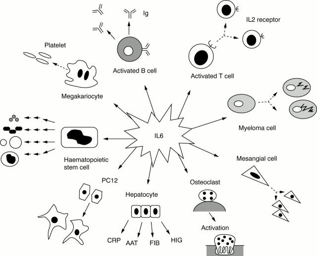 Figure 1  