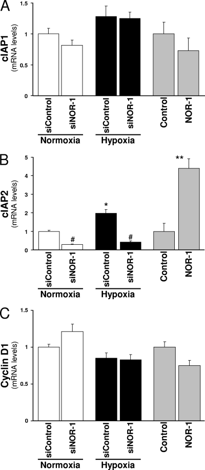 FIG. 11.