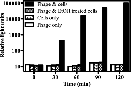 Fig 4