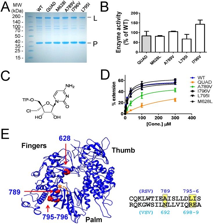 Fig 4