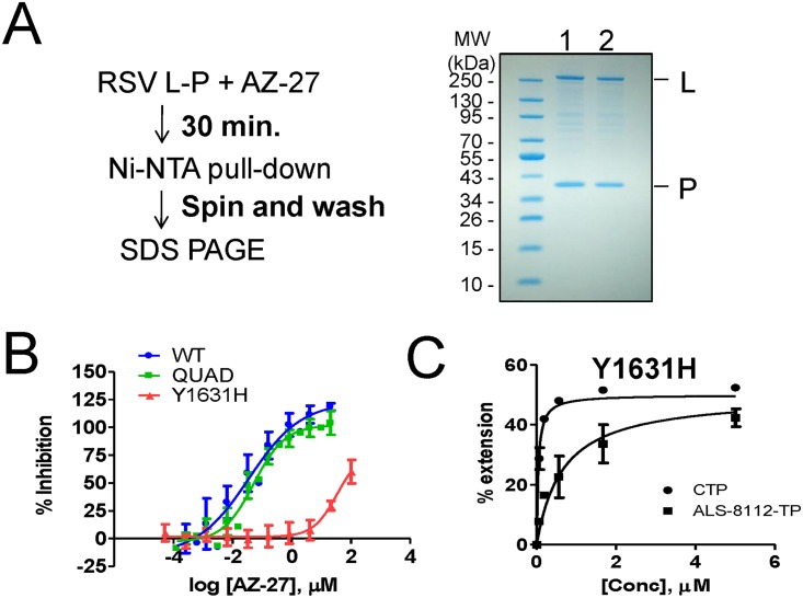 Fig 6