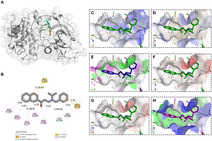 Figure 6