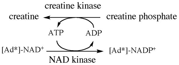 Scheme 2