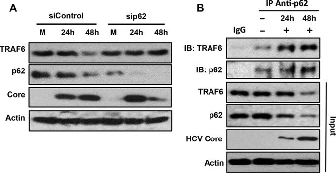 FIG 4