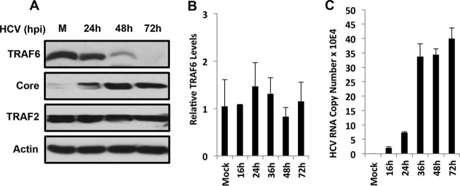 FIG 1