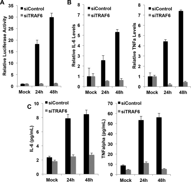 FIG 6