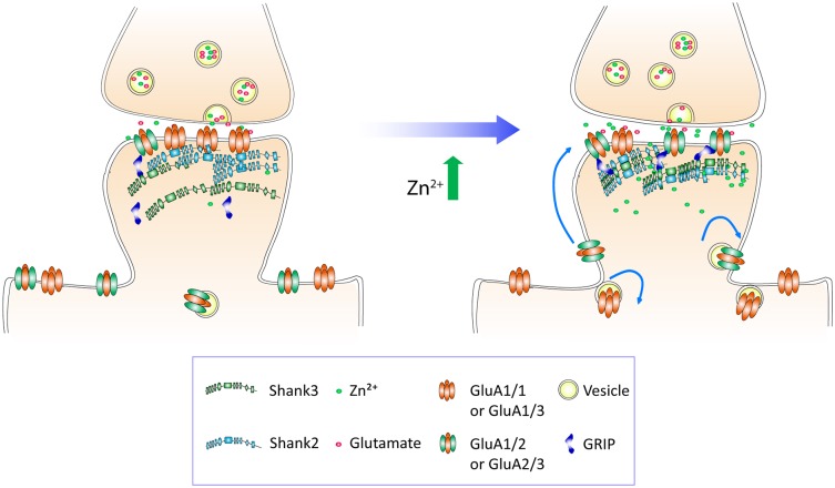 Figure 12