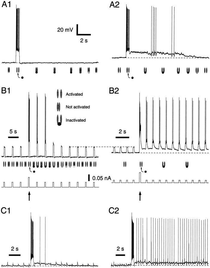 Fig. 6.