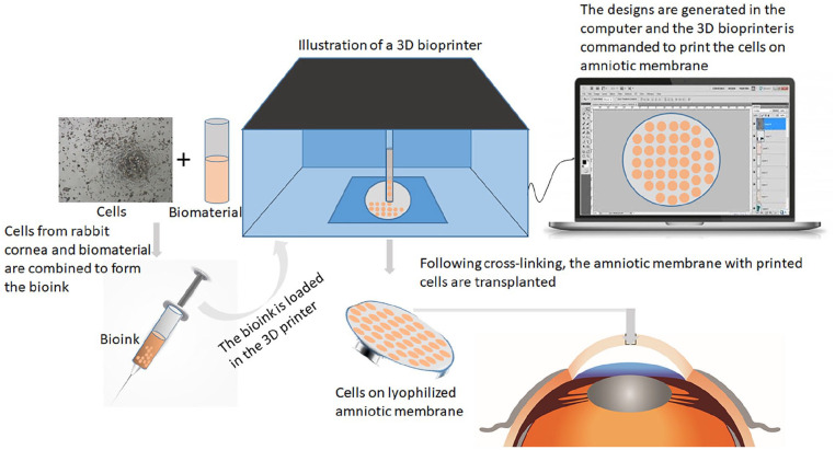 Figure 11.