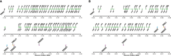 Figure 2