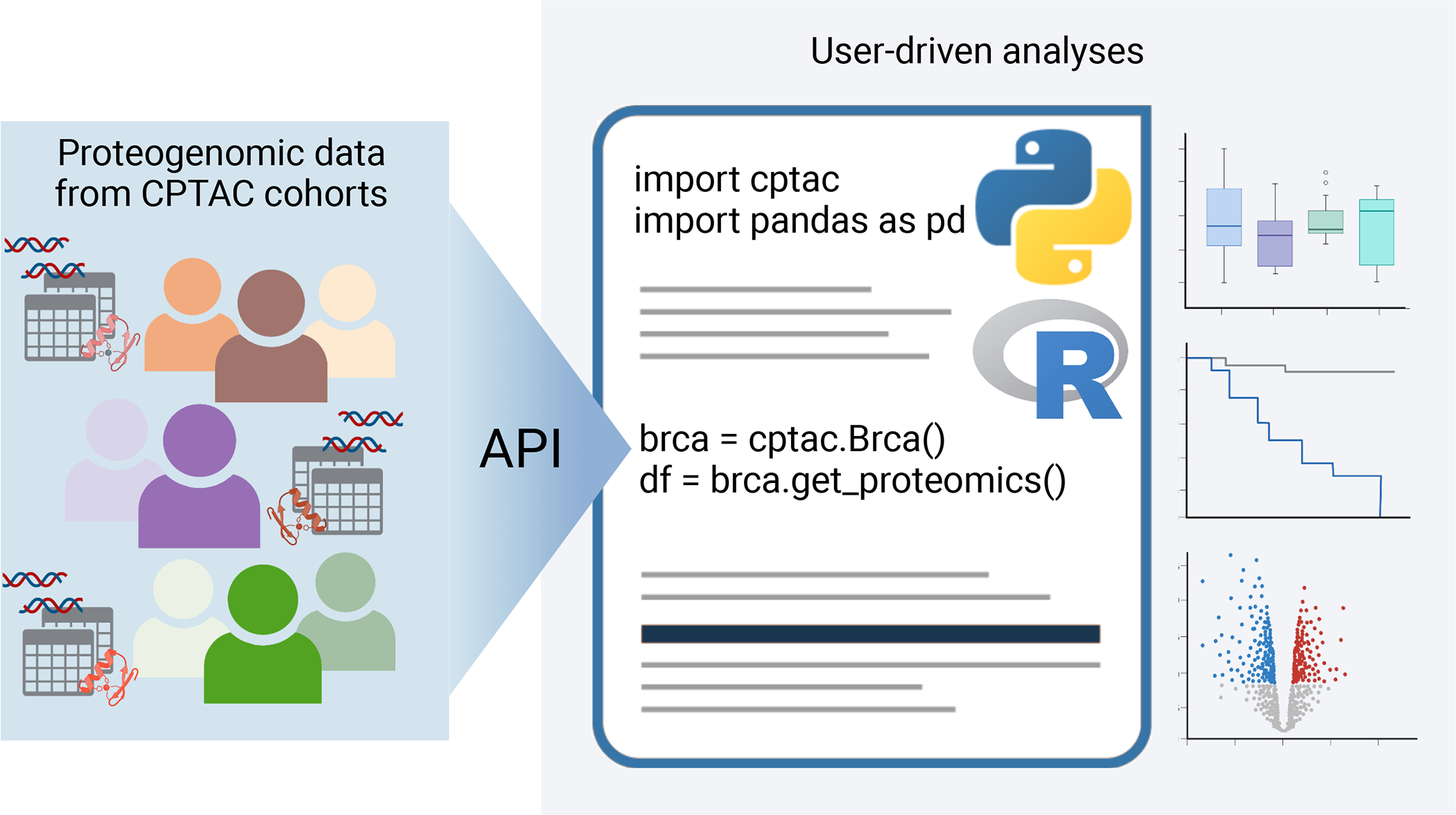 Figure 3 -