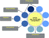 Figure 4 -