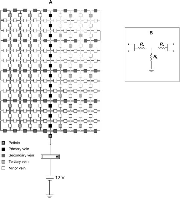 Figure 5.