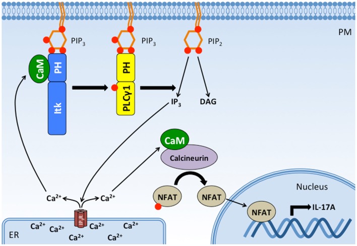 Figure 6